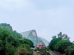 -南山植物园