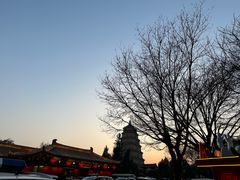 -大唐博相府酒店·陕西官府菜