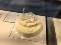 -BLACKSWAN黑天鹅(环球店)