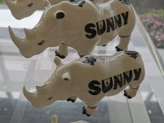 -罗红摄影艺术馆