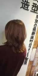 点击看大图 -藤野造型