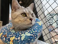 -怪兽屋·羊驼·猫咖·狗咖(俊华广场店)