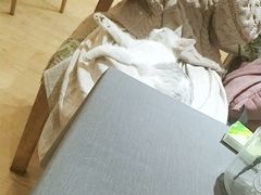 -万小咖.猫咖(中山路天虹店)