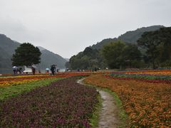 -广州市石门国家森林公园