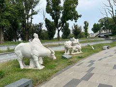 -葛仙湖公园