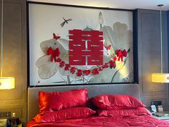 -上海嘉定喜来登酒店