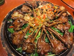 -荔枝苑养生餐厅(尊尚领地店)