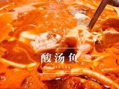 -新凯里酸汤鱼(飞山街店)