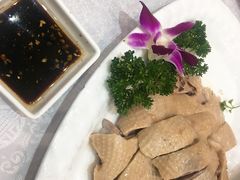 -鹅城