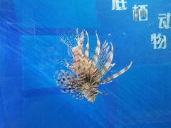 -福州罗源湾海洋世界旅游区