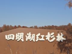 -四明湖