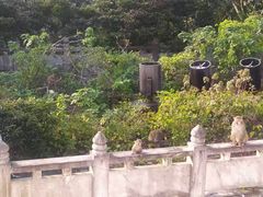 -苏州上方山国家森林公园