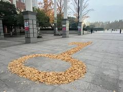 -华东师范大学第二附属中学(张江校区)