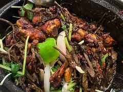 -清真重庆巴爷香辣鸡煲(南小巷店)