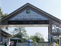 -中国大熊猫保护研究中心雅安碧峰峡基地