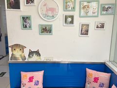 -宠福鑫动物医院(立水桥分院)