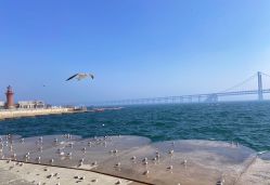 -华卫思理轻奢造型