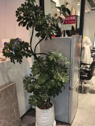 -LJOY丽锦造型·烫发染发