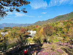 -塔川景区