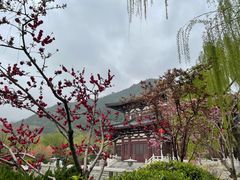 -华清宫景区