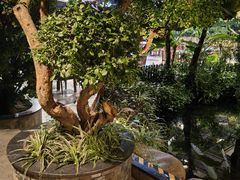 -金稼园·金平湖农家菜