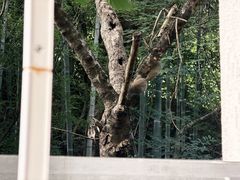 -天目湖涵田度假村