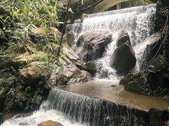 -四会奇石河风景区