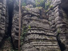 -梭布垭石林景区