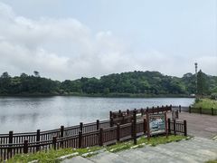 -海南热带雨林国家公园吊罗山景区