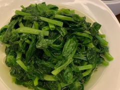 高汤泡豆苗-杭州JW万豪酒店-万豪中餐厅