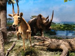 -国家自然博物馆