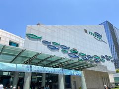 -上海海洋水族馆