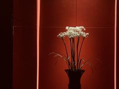 -L'ATELIER de Joel Robuchon(外滩18号店)
