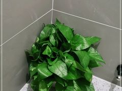 -ALIV WELLNESS运动健身(浦东大道店)