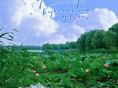 -南海子公园