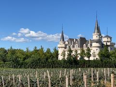 -北京张裕爱斐堡酒庄