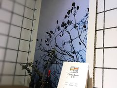 -素咫咖啡CLIFEROSE