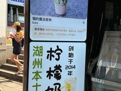 -猫的魔法密林(衣裳街店)