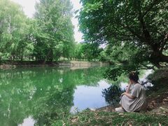-阿哈湖国家湿地公园