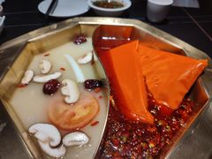 鸳鸯锅-蜀九香火锅(彩虹店)