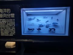 -同济大学四平路校区深海探索馆