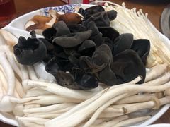 -楼外楼肥羊木炭火锅居(乐群街店)