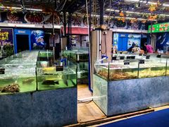 -聚鲜阁海鲜美食城(香水湾店)