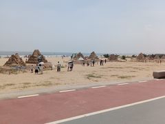 -日照海滨国家森林公园