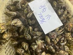 -华源餐厅·海鲜大排档(日月贝店)