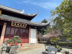 -上海东林寺(金山区)