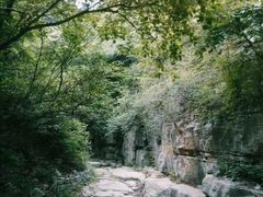 -黄花溪