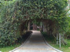 -人民公园(罗湖区)