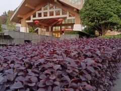 -明月山天沐温泉度假村