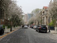 -天津五大道文化旅游区